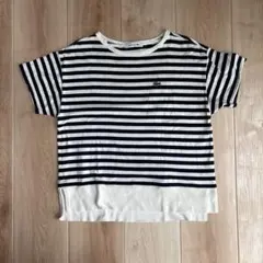 LACOSTE ボーダー 半袖 Tシャツ 34サイズのサムネイル
