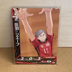 ハイキュー バボカ 灰羽リエーフ