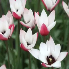 じゅー様 リクエスト 5点 まとめ商品