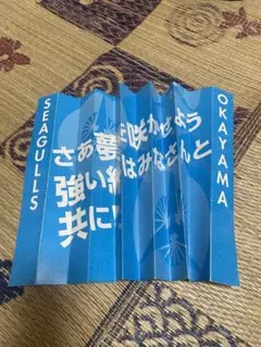 2025年最新】岡山シーガルズの人気アイテム - メルカリ