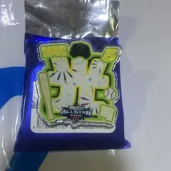 Alustatice〜アルスターチス〜様 リクエスト 2点 まとめ商品