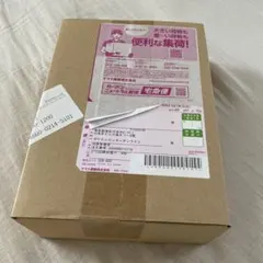 【ポケセン産・ダンボール未開封】 MEGA拡張パックニンジャスピナー