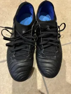Nike Tiempo Legend 10 Pro TF 26のサムネイル