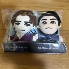 DREAMBOYS 2023 ぬいぐるみ渡辺翔太、森本慎太郎