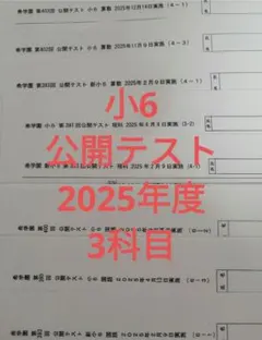 希学園 国語要覧(語句編、文法編)中学受験に使用 - メルカリ