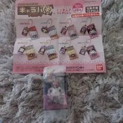 サンリオ キャラパキチョコレートミニチュアコレクション