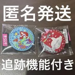ディズニー　刺繍缶バッジ　2点セット