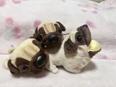 パグ犬　ぬいぐるみ　セット