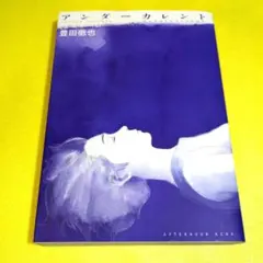 豊田徹也【アンダーカレント】