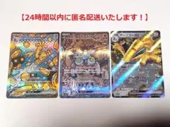 テラスタルフェス サーフゴー SAR RR スナノケガワ SAR 他 まとめ売り