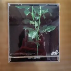 花 オレンジレンジ ORANGE RANGE CD