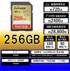 Ri・JAPAN RIJ-SDX256G10U3 SDXCカード 256GB - メルカリ