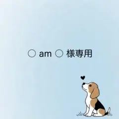 【〇 am 〇様】パラコード ストラップ オーダー相談ページ