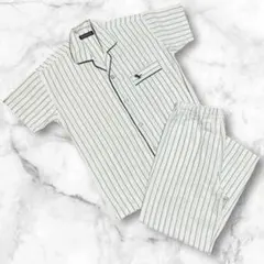 Item thumbnail for item ad5ab30f-72da-4aca-aa32-2bce68bfa6cd