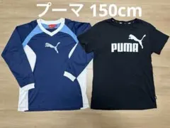 PUMA 150cm 男の子 プーマ ブラック ブルー 黒 青 まとめ売り