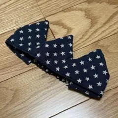 Item thumbnail for item 36c528b5-6572-48ff-8c46-9c27b5f71eda