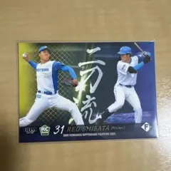 BBM 2010 井端弘和 ゴールデングラブ賞 カード - メルカリ