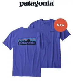 パタゴニア 両面 プリント 半袖 Tシャツ P6 ボックスロゴ Sサイズ