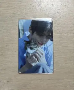 TWS はじめまして ポップアップ トレカ ジフン