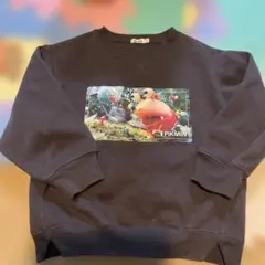 ピクミントレーナー　110