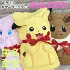 【残1セットのみ】ポケモン サマーブランケット ピカチュウ イーブイ