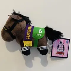 ぬいぐるみ サラブレッドコレクション カラテ号 新品タグ付 人気馬マスコット