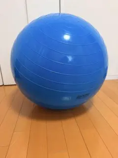 Gymnic ギムニク バランスボール フィジオロール 55cm ピーナッツ型