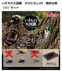 いきもの大図鑑 かぶとむし10 オンライン版