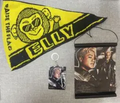 三代目 J Soul Brothers ELLYライブグッズ