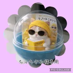 【12月】ちっちざる様専用