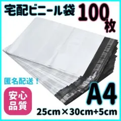 Item thumbnail for item 5006c6e9-7117-40b4-82ea-92df3eebc84e