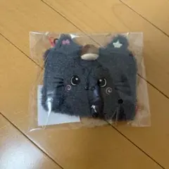 nctwish WISHDOLL ポーチ リク