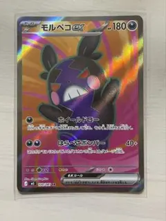 ポケモンカード モルペコex SR