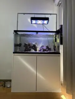 2026年最新】水槽 90 台の人気アイテム - メルカリ