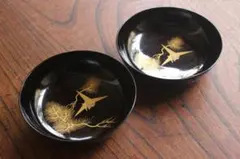 Item thumbnail for item 1c242219-edc5-4d8a-b494-607d0eef89fd