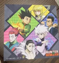 HUNTER×HUNTER アベイル　メガネクリーナー　単品