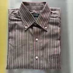 REGAL 長袖シャツ ストライプ柄 ボタンダウン