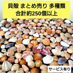 H.Y様 リクエスト 2点 まとめ商品