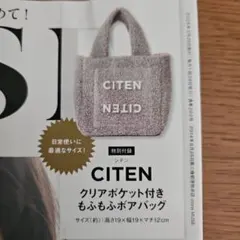 【オトナミューズ】 3月号付録CITENクリアポケットボアバッグトート