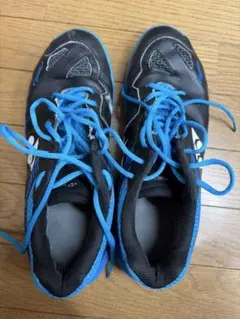 桃田賢斗 選手着用モデル　バドミントンシューズ/パワークッション 65Z2 28