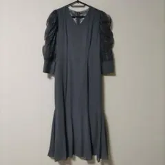 epic day ギャザースリーブシフォンロングドレス　L