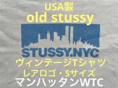 old stussy Tシャツ 90s ステューシー レアモデル USA製のサムネイル