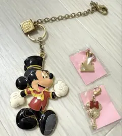 2025年最新】ディズニー ホテル宿泊者限定 ホテルミラコスタ