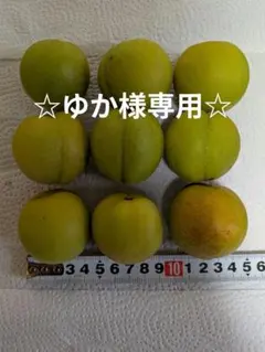 新鮮な青梅 9個 梅酒・梅シロップ用のサムネイル
