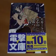 スカートのなかのひみつ。宮入裕昂