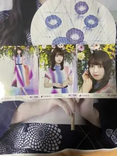 乃木坂46 阪口珠美　生写真　真夏の全国ツアーspecial スペシャル　コンプ