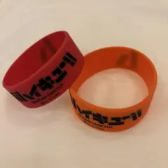 劇団ハイキュー‼︎ ラバーバンド　音駒・烏野