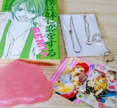 少女コミック　付録　2000年代　まとめ売り