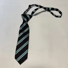 Item thumbnail for item fd9b5782-324c-4de5-9bf0-1f2489d2eafc