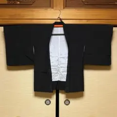 Item thumbnail for item 64d8a169-8df9-46ee-9e45-f40c319f8c6f